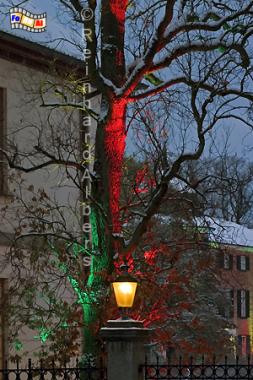 Eutin Weihnachtsbeleuchtung, Eutin, Weihnachtsbeleuchtung, Schleswig-Holstein, Foto, Reinhard, Albers, foreal, 
