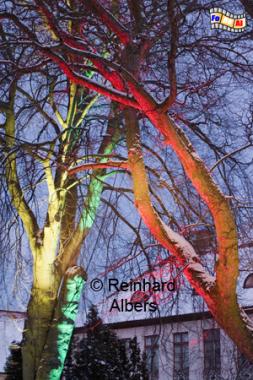 Eutin Weihnachtsbeleuchtung, Eutin, Weihnachtsbeleuchtung, Schleswig-Holstein, Foto, Reinhard, Albers, foreal, 