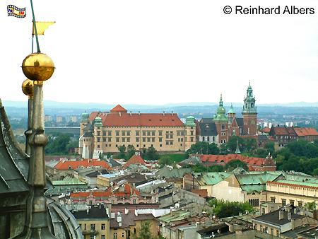 Blick vom Turm der Marienkirche auf den Wawelh�gel mit Kathedrale und Schloss., Polen, Polska, Krakau, Krak�w, Fotos, Bilder, Wawel, Kathedrale,