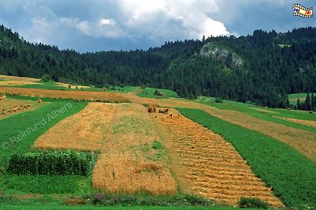 Landschaft im Pieniny-Nationalpark bei Sromowce Wyżne., Polen, Polska, Bilder, Fotos, Sromowce Wyżne, Pieniny, Nationalpark, Berglandschaft