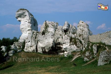 Felsen im Karakuer-Tschenstochauer-Jura bei Ogrodzieniec., Polen, Polska, Bilder, Fotos, Jura, Ogrodzienniec