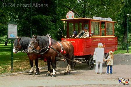 Pferdestraenbahn anno dazumal., Polen, Polska, Fotos. Bilder, Krakau, Krakw, Straenbahn, Pferdestraenbahn