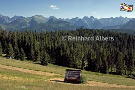 Gipfelsilhouette der Hohen Tatra., Polen, Polska, Fotos, Bilder, Hohe Tatra, Berge