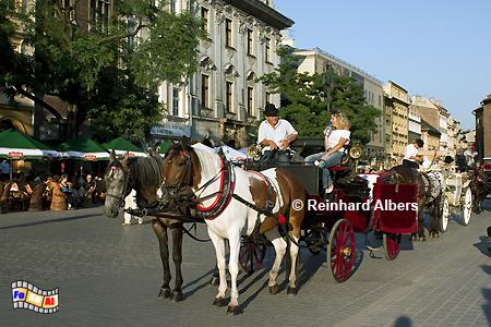 Fiaker laden zur Kutschfahrt ein, Polen, Polska, Fotos, Bilder, Krakau, Krakw, Fiaker, Pferdekutschen, Stadtrundfahrt
