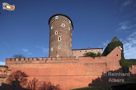 Wawel Festungsturm, Polen, Polska, Fotos, Bilder, Krakau, Krakw, Wawel, Festungsturm, Albers, foreal, Foto,