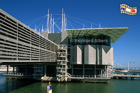 Das zur Expo 1998 errichtete Oceanario de Lisboa ist das gr��te Aquarium Europas., Lissabon, Lisboa, Expo, Aquarium, Oceanario, Fische