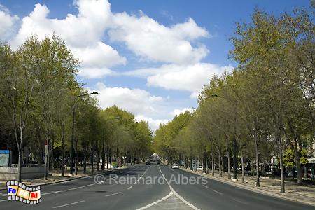 Avenida da Liberdade - Prachtboulevard, Lissabon, Avenida, Liberdade, Boulevard, Albers, Foto, foreal