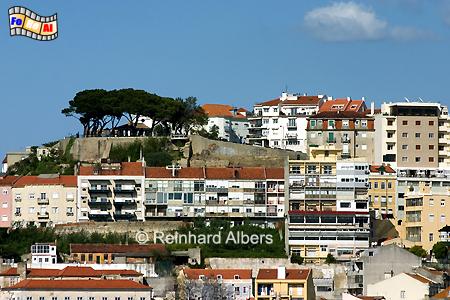 Lissabon - Miradouro Nossa Senhora do Monte. Vom Aussichtspunkt - dort wo die Bume stehen - hat man einen der besten berblicke auf die Stadt., Lissabon, Miradouro, Graa, Aussichtspunkt, Albers, Foto, foreal