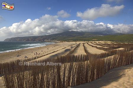 Guincho - Dnenschutz, Portugal, Lissabon, Atlantik, Guincho, Strand, Surfer, Kiter, Dnenschutz, Foto, Albers, foreal,,
