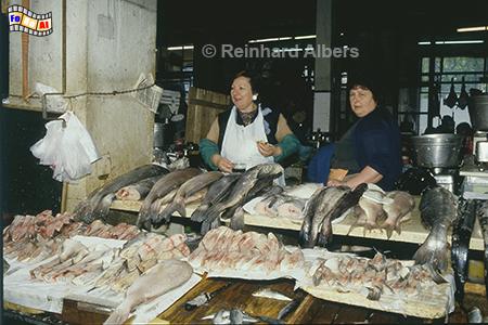 Fischstand in der Markthalle von Lissabon., Lissabon, Markthalle, Mercado, Fisch, Auslagen, Albers, Foto, foreal,