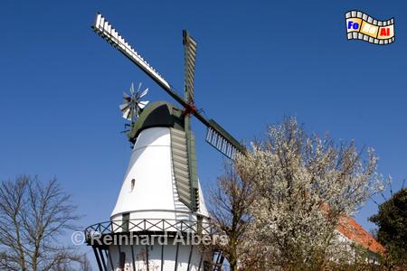 Snderborg im sdlichen Dnemark. Name: Snderborgs Slotsmlle 1875., Windmhle Dnemark, Snderborg, Sonderborg