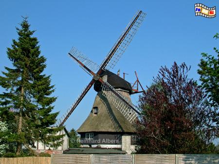Windbergen in Dithmarschen mit der Mhle 