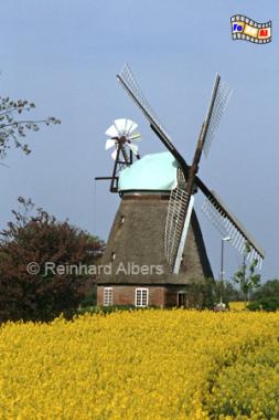 Quern-Nbbelfeld in Angeln (Schleswig-Holstein), heute als Ferienwohnung genutzt., Windmhle, Schleswig-Holstein, Angeln, Quern, Nbbelfeld