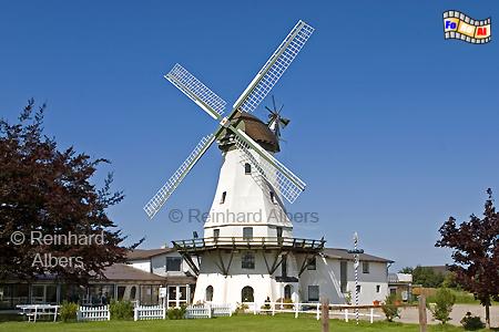 Die Windmühle 