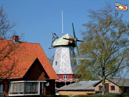 Die Windmhle von Elstrup auf der Insel Als (Alsen) in Dnemark stand ursprnglich in sterholm und wurde bereits 1888 nach Elstrup versetzt., Windmhle, Dnemark, Insel, Alsen, Als, Elstrup, Galeriehollnder