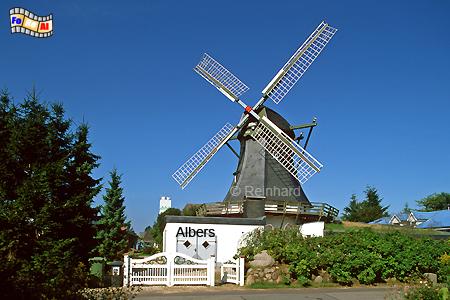 Medelby bei Flensburg - Galerieholl�nder 