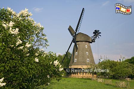 Berlin - Britzer M�hle, Berlin, Windm�hle, Britz, foreal, Albers, Foto