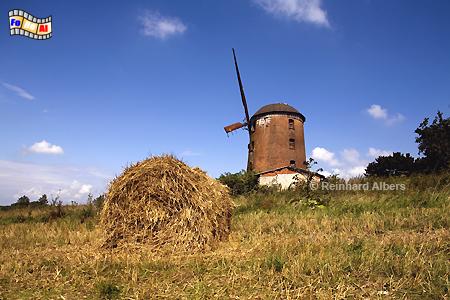 Polen - In Zdrzewno (Zimdarsen)  sdstlich von Leba in Pommern steht diese Windmhle. , Polen, Polska, Windmhle, Zdrzewno, Zimdarsen, Pommern, Windmhle, foreal, Albers, Foto