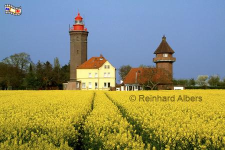 Dahmeshved in Ostholstein, Leuchtturm, Deutschland, Schleswig-Holstein, Ostseekste, Dahmeshved, Raps