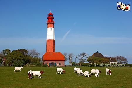 Fl�gge auf der Insel Fehmarn, Leuchtturm, Schleswig-Holstein, Fehmarn, Insel, Fl�gge, Albers, Foto, foreal, Ostseek�ste