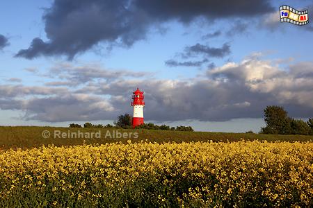 Rapsblte beim Leuchtturm Falshft in Schleswig-Holstein, Ostseekste., Leuchtturm, Ostseekste, Lighthouse, Phare, Falshft, Pommerby, Albers, Foto, foreal,