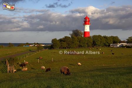 Leuchtturm Falsh�ft - Ostseek�ste Schleswig-Holstein., Leuchtturm, Ostseek�ste, Lighthouse, Phare, Falsh�ft, Pommerby, Albers, Foto, foreal,