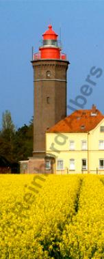 Dahmeshved in Schleswig-Holstein., Leuchtturm, Deutschland, Schleswig-Holstein, Ostseekste, Dahmeshved, Rapsblte