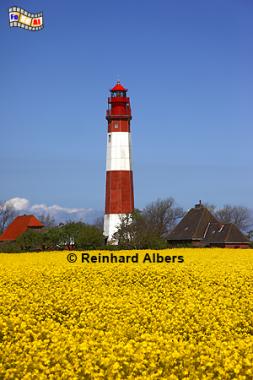 Leuchtturm Flgge auf der Insel Fehmarn., Leuchtturm, Lighthouse, Phare, Fehmarn, Flgge, Ostsee, Albers, foreal, Foto,