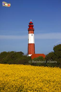 Leuchtturm Flgge auf der Insel Fehmarn., Leuchtturm, Lighthouse, Phare, Fehmarn, Flgge, Ostsee, Albers, foreal, Foto,