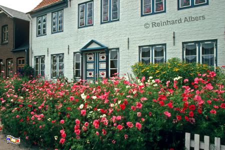 T�nning - Haus am Hafen, Schleswig-Holstein, T�nning, Nordseek�ste, Albers, Foto, foreal,