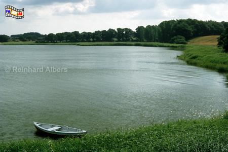 Schlei bei Lindaunis, Schleswig-Holstein, Schlei, Lindaunis, Albers, Foto, foreal,