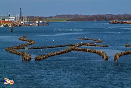 Kappeln - Heringszune in der Schlei, Kappeln, Schlei, Heringszune, Schleswig-Holstein, Albers, Foto, foreal,
