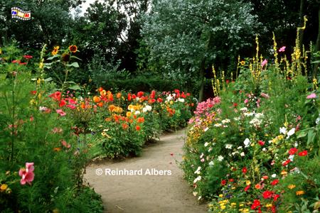 Seebll - Noldes Garten, Schleswig-Holstein, Seebll, Nolde, Museum, Garten, Albers, Foto, foreal,
