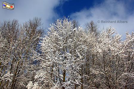 Winter in den Httener Bergen., 