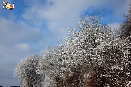 Winter in den Httener Bergen., 
