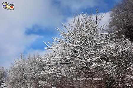 Winter in den Httener Bergen., 