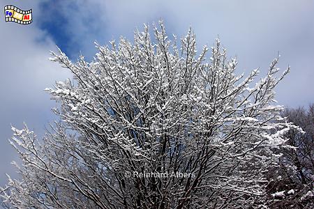 Winter in den Httener Bergen., 
