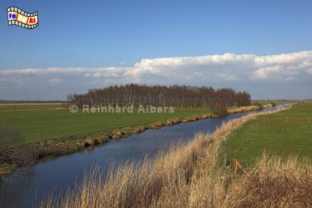 Fluss Rinne bei Friedrichsholm, Schleswig-Holstein, Rinne, Friedrichsholm, Foto, Albers, foreal,