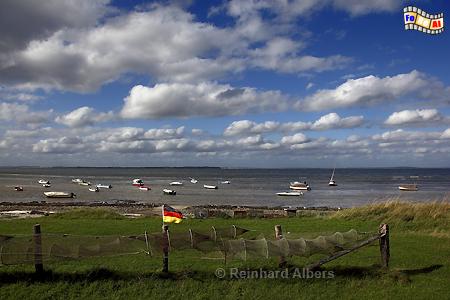 An der Flensburger Frde bei Nieby., Schleswig-Holstein, Ostseekste, Angeln, Frde, Nieby, Flensburg, Albers, Foto, foreal,