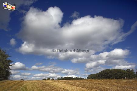 Landschaft in Angeln, Schleswig-Holstein, Angeln, H�gellandschaft, Albers, Foto, foreal,