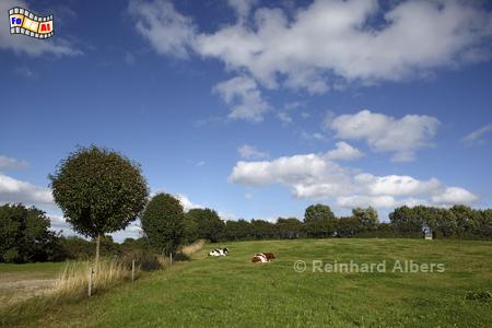 Landschaft bei Nieby, Schleswig-Holstein, Ostseekste, Angeln, Frde, Nieby, Flensburg, Albers, Foto, foreal,