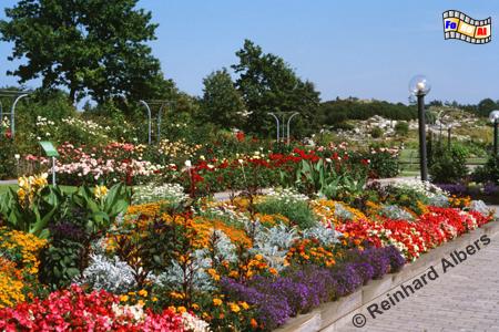 Der Botanische Garten der Universitt Kiel., Kiel, Botanischer, Garten, Kiel, Albers, Foto, foreal,