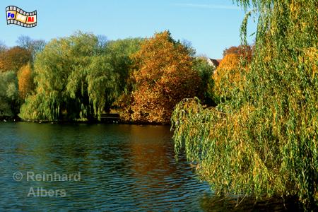 Der Kieler Schrevenpark im Herbst., Kiel, Schrevenpark, Herbst