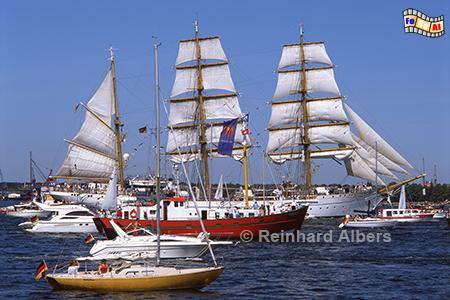 Kieler Woche - Windjammerparade, Kiel, Woche, Windjammer, Parade, Albers, Foto, foreal,
