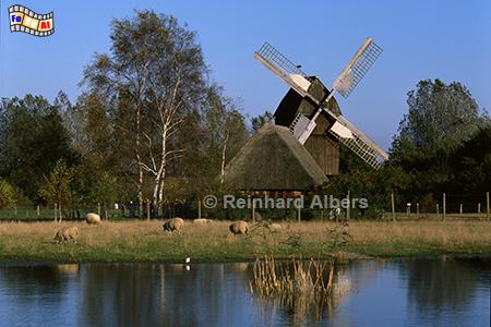 Freilichtmuseum Kiel-Molfsee, Kiel, Freilichtmuseum, Molfsee, Windmhle, Bockwindmhle, Albers, Foto, foreal,