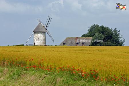 Windmhle bei Hauville, Normandie, Windmhle, Moulin, Mhle, Hauville, Albers, Foto, foreal