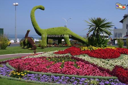 Cte Fleurie - Villers-sur-Mer, Normandie, Cte, Fleurie, Villers-sur-Mer, Albers, Foto, foreal