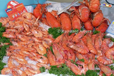 Auslagen in der Fischhalle von Trouville, Normandie, Trouville, Fisch, Auslagen, Fischhalle, Albers, foreal, Foto
