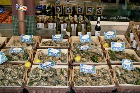 Auslagen in der Fischhalle von Trouville, Normandie, Trouville, Fisch, Auslagen, Fischhalle, Albers, foreal, Foto