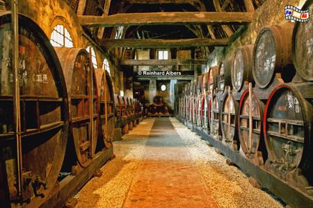 Château du Breuil - Holzfässer zur Calvadoslagerung., Normandie, Calvados, Château, Breuil, Cidre, Albers, Foto, foreal